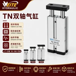 TN 双轴双杆气缸